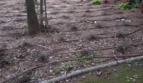 Paysagiste et entretien de jardin à Fréjus - Arrosage Automatique